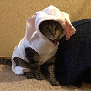 Meet your Posher, Chrissy